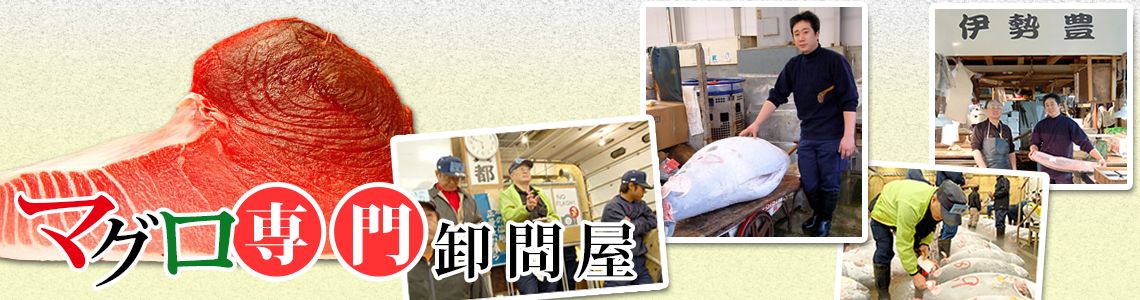 マグロ専門卸問屋 マグロ専門卸問屋